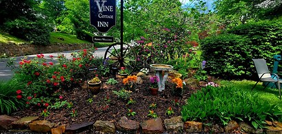 Vine Cottage Inn
