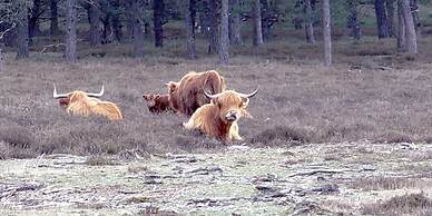 EuroParc De Zanding