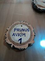 Apartamento Prunus Avium