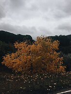Apartamento Prunus Avium