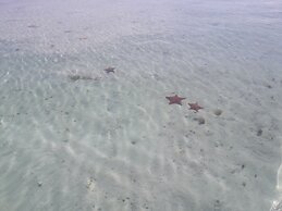 Cabanas Narasgandub - Naranjo Chico