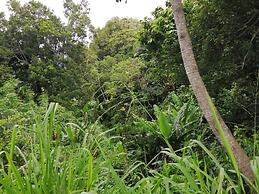 Jungla de Panama