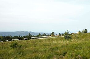 Wellness- & Nationalpark Hotel Schliffkopf, BWSC