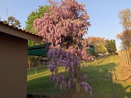 Hills and Dales Accommodation