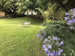 Hills and Dales Accommodation