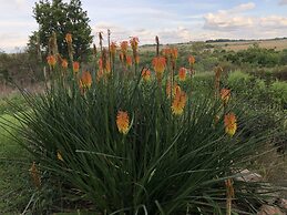 Hills and Dales Accommodation