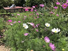 Hills and Dales Accommodation