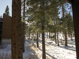 3174 Aspen Grove