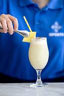 Oporto Airport & Business Hotel