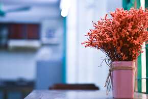 Homestay Sunny's House