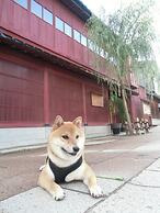 Kanazawa Share House GAOoo