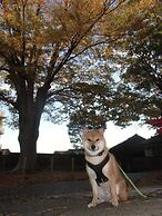 Kanazawa Share House GAOoo