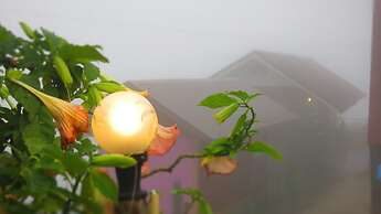 Baanchomdow Phutubberk