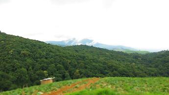 Baanchomdow Phutubberk