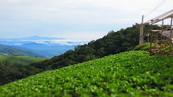 Baanchomdow Phutubberk