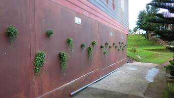 Baanchomdow Phutubberk