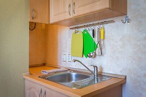 Apartment on Pulkovskaya