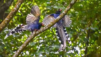 Yanmin Hot Spring Resort