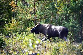 Finnskogen Turistsenter
