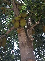 Oceanic Bay Hotel & Resort