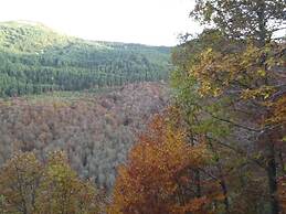 La Montaña Palentina