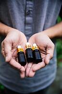 Treeline Urban Resort