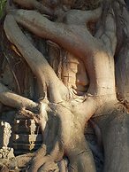 Treeline Urban Resort