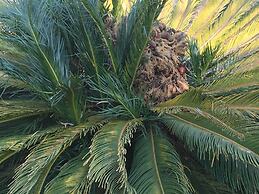 2 Bedroom Executive & Holiday Suburban Home