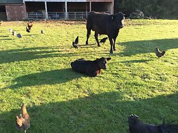 Castleview - Newton Steading