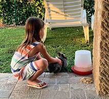 Appartamento Palazzeta With Pool, Near the Sea