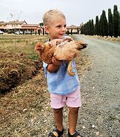 Appartamento Palazzeta With Pool, Near the Sea