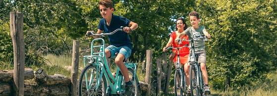 EuroParcs Maasduinen