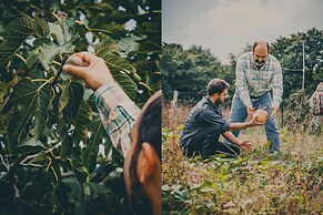 Agriturismo Buonasera