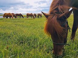 Grásteinn Guesthouse