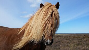 Grásteinn Guesthouse