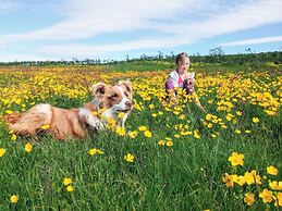 Grásteinn Guesthouse