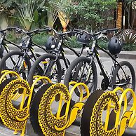 Pullman Ciawi Vimala Hills Resort