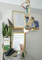 Hotel Haus Nachtigall B&B