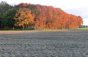 Hotel Haus Nachtigall B&B