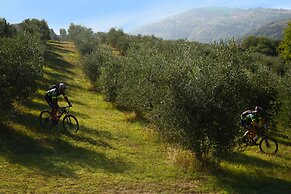 Agriturismo Fattoria Aquilone