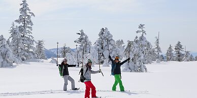 Sachinoyu Hotel Shiga Kogen
