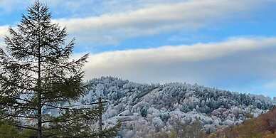 Sachinoyu Hotel Shiga Kogen