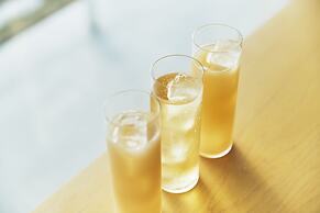 Shonai Hotel Suiden Terrasse