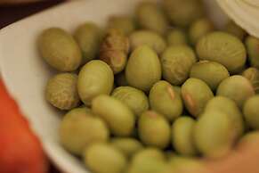 Shonai Hotel Suiden Terrasse