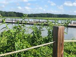 Surry Seafood Company