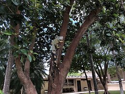 Hotel Diria Santa Cruz