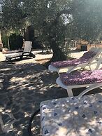 La Casita De Lola