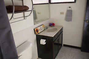 Alive Land Hotel Boutique