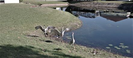 Ly217376 - Oak Island Cove - 4 Bed 3 Baths Villa