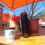 Nelumbo Petit Chalet